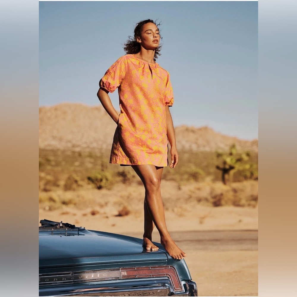 Free Assembly Shirred Neck Mini Dress